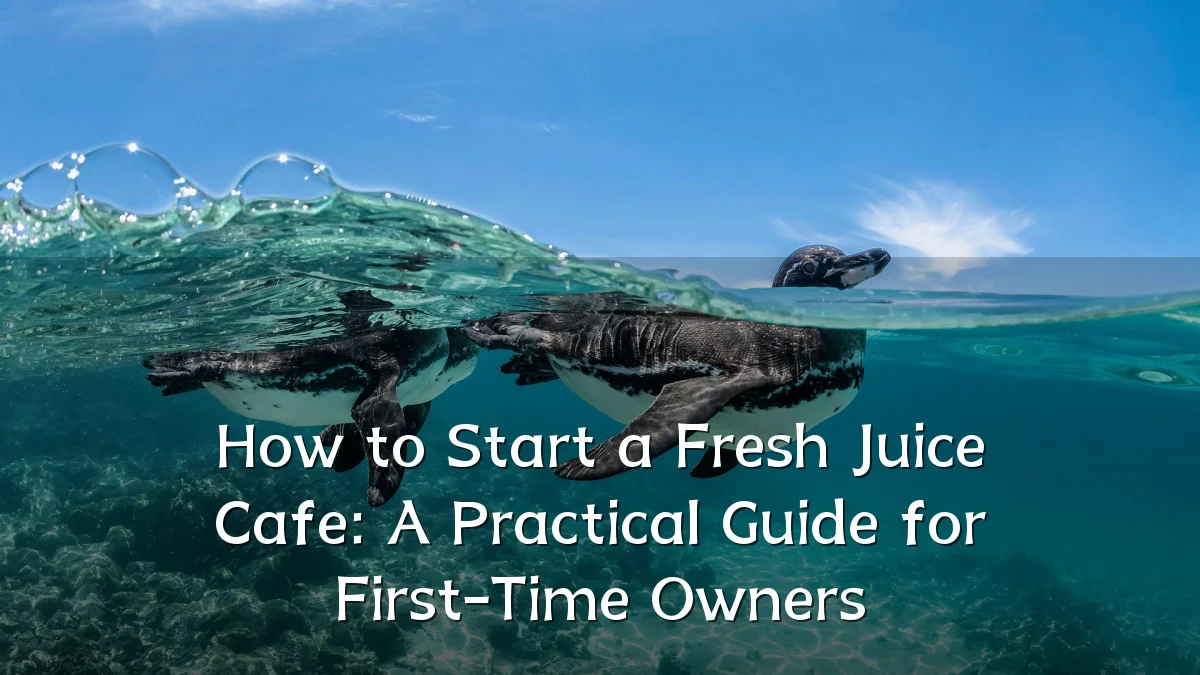 How to Start a Fresh Juice Cafe: A Practical Guide for First-Time Owners