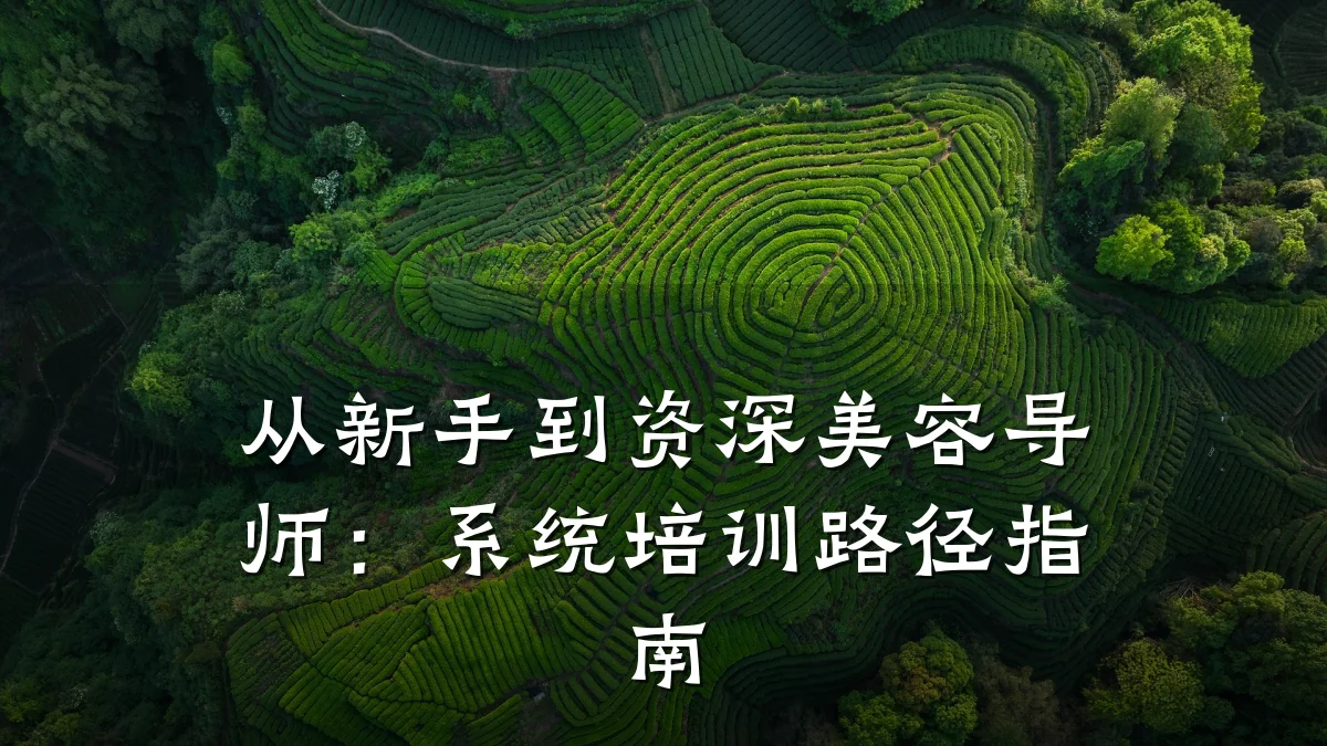 从新手到资深美容导师:系统培训路径指南