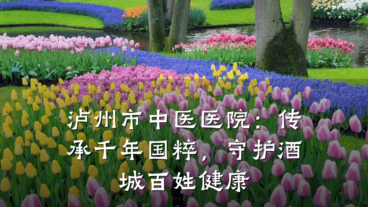 泸州市中医医院:传承千年国粹,守护酒城百姓健康