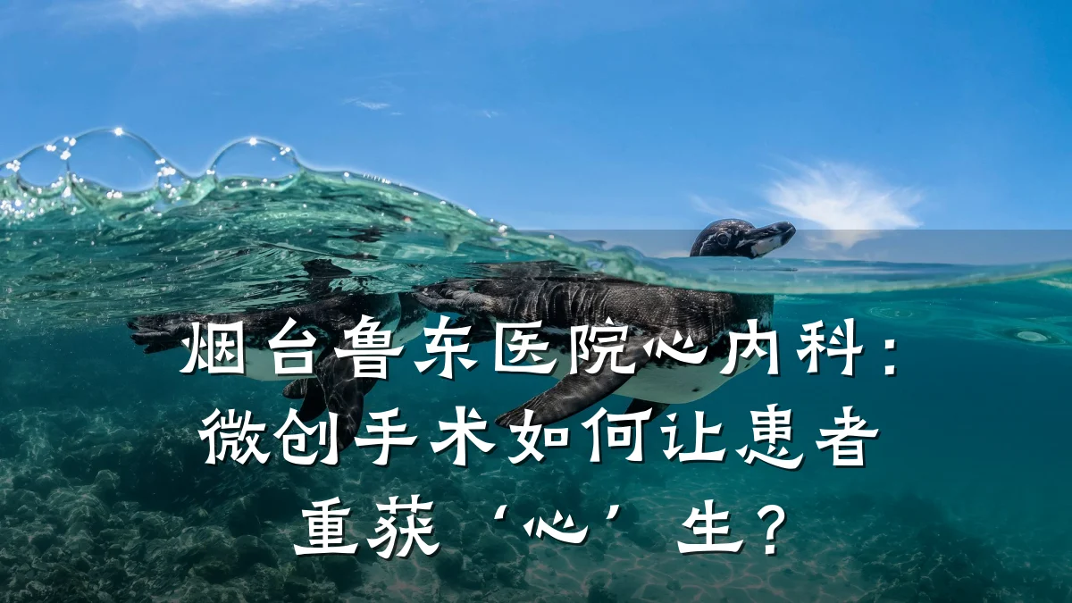 烟台鲁东医院心内科:微创手术如何让患者重获‘心’生?