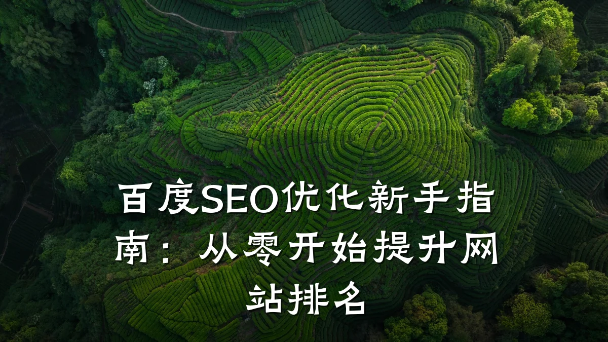 百度SEO优化新手指南：从零开始提升网站排名