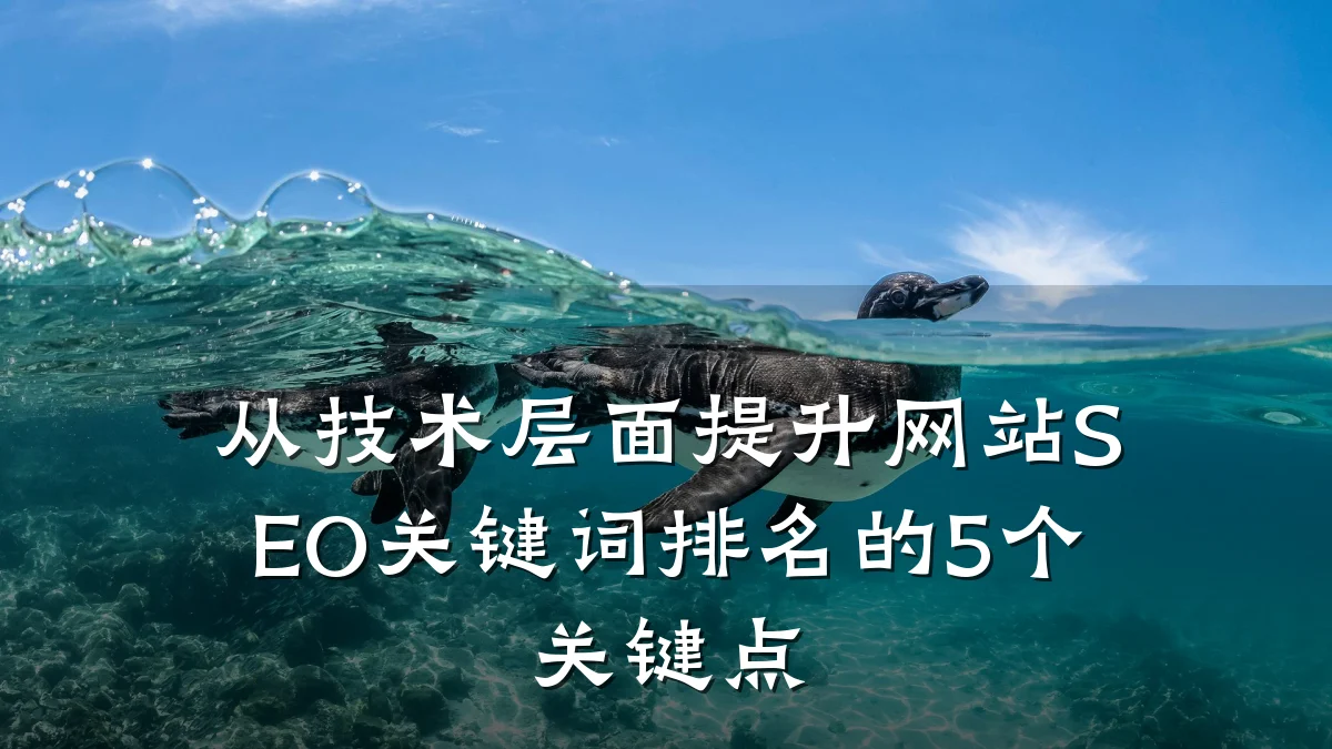从技术层面提升网站SEO关键词排名的5个关键点