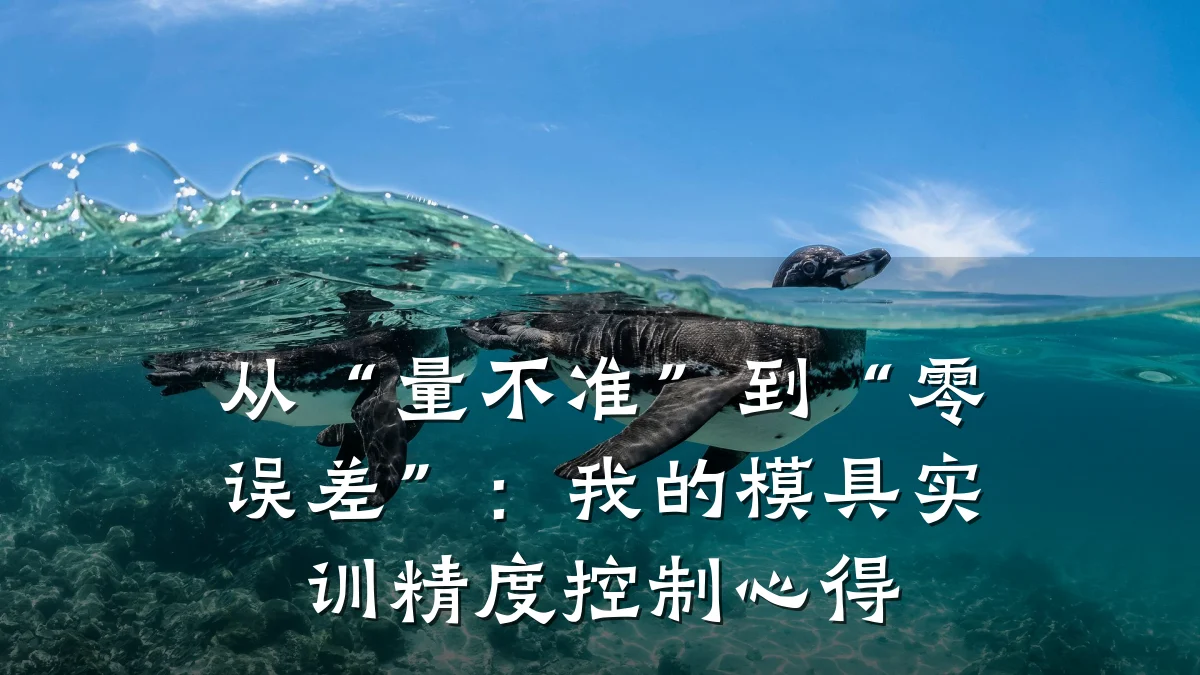 从“量不准”到“零误差”：我的模具实训精度控制心得