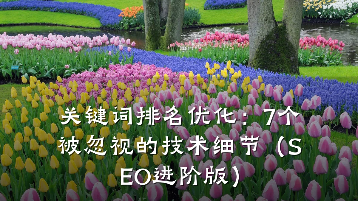 关键词排名优化：7个被忽视的技术细节（SEO进阶版）