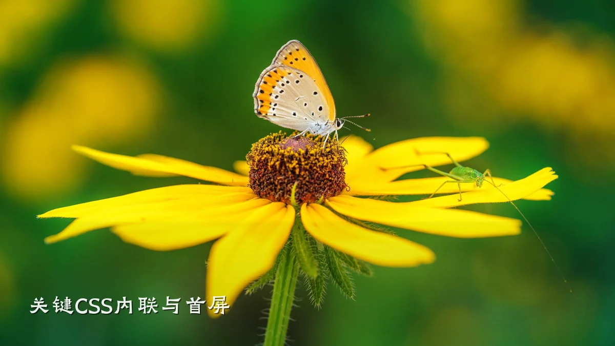 关键CSS内联与首屏