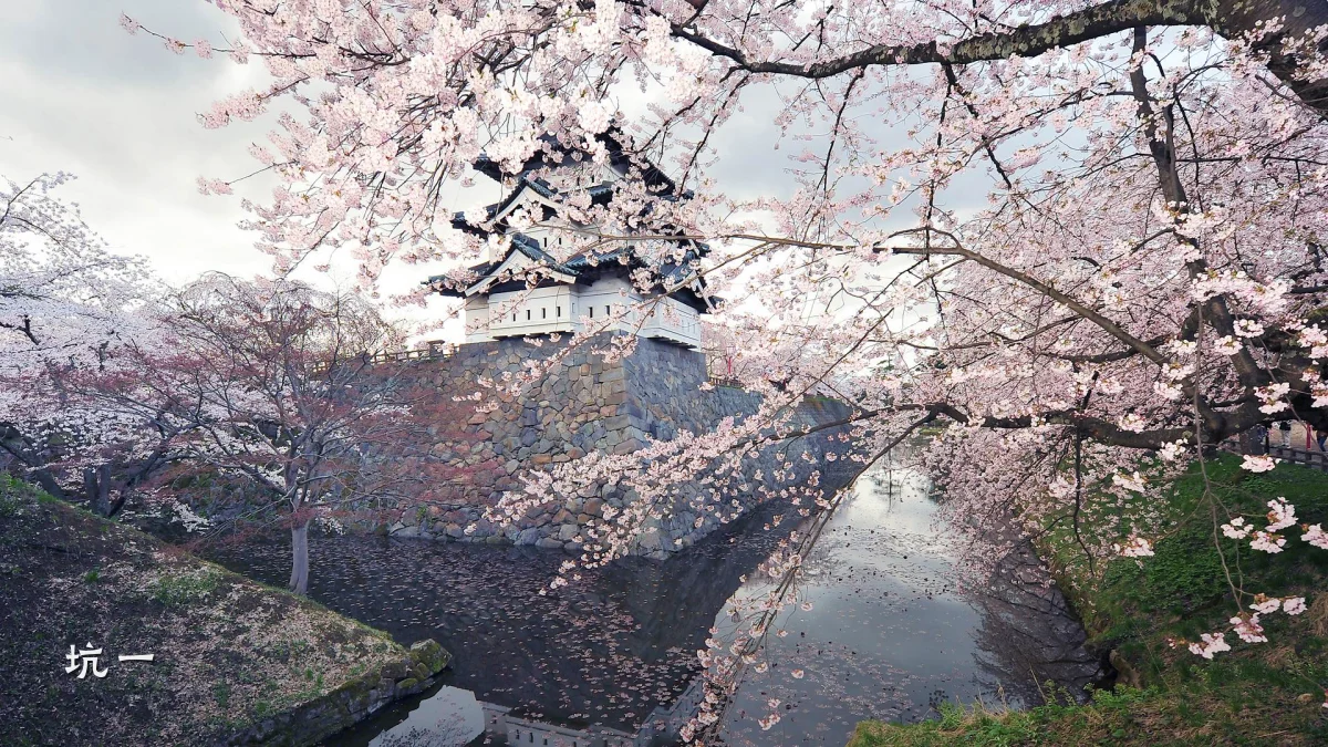 坑一