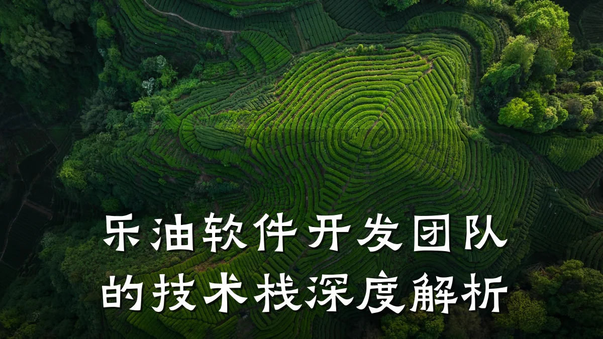乐油软件开发团队的技术栈深度解析