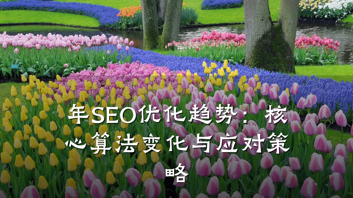年SEO优化趋势：核心算法变化与应对策略