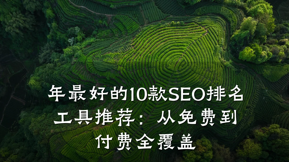 年最好的10款SEO排名工具推荐:从免费到付费全覆盖