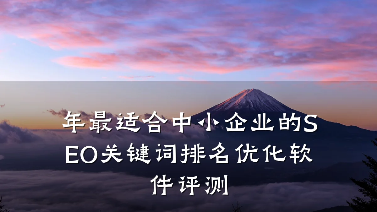年最适合中小企业的SEO关键词排名优化软件评测