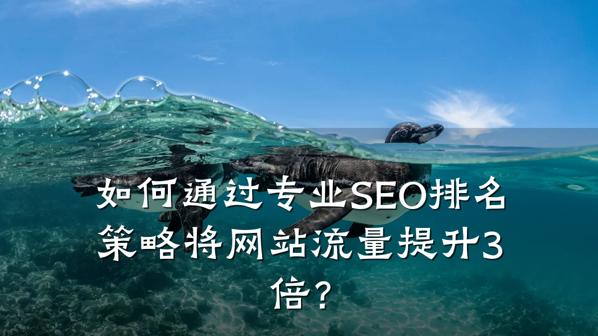 如何通过专业SEO排名策略将网站流量提升3倍？
