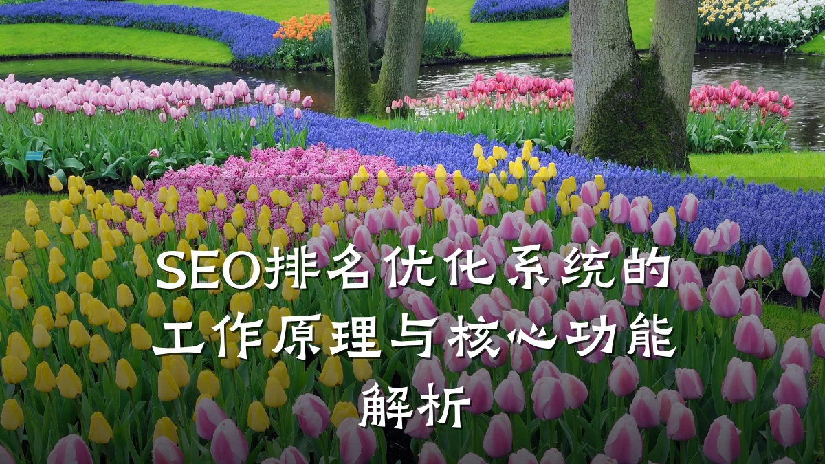 SEO排名优化系统的工作原理与核心功能解析