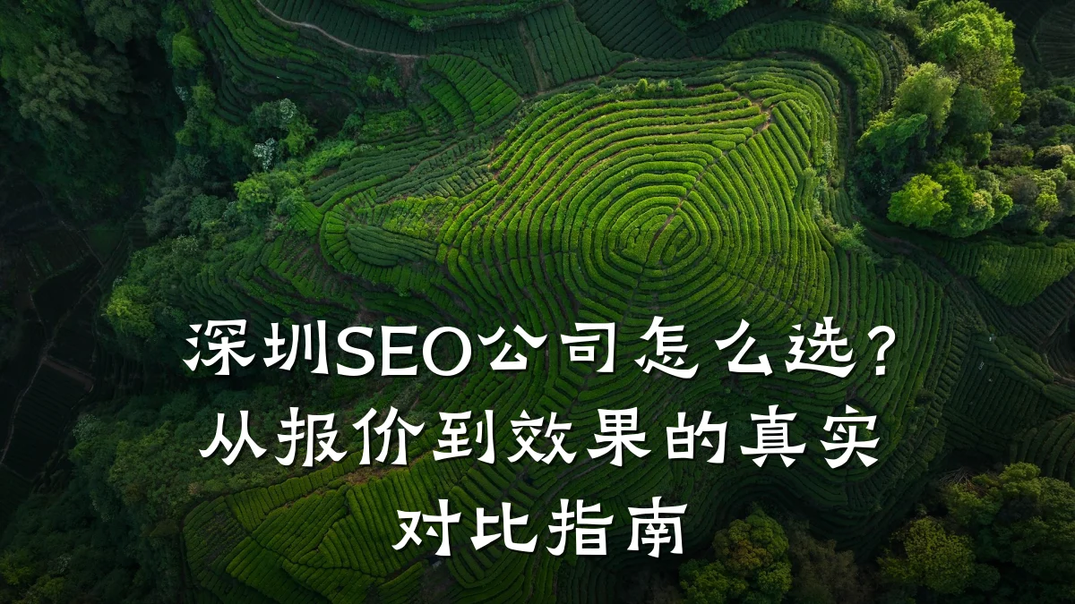 深圳SEO公司怎么选？从报价到效果的真实对比指南
