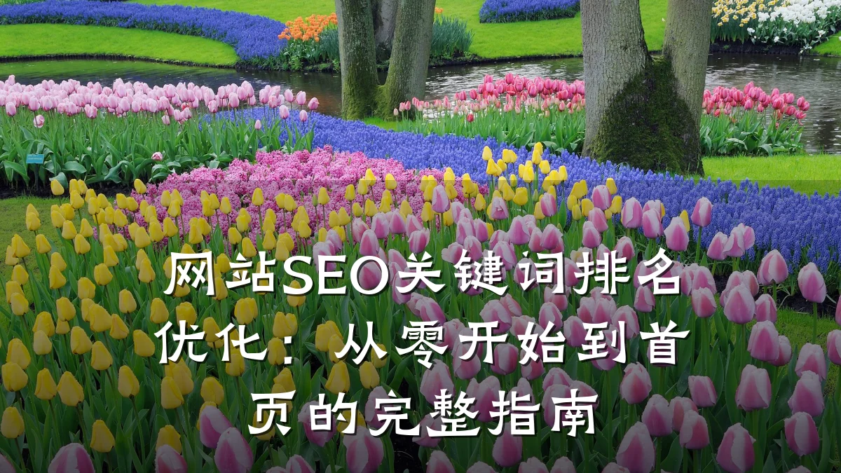 网站SEO关键词排名优化:从零开始到首页的完整指南