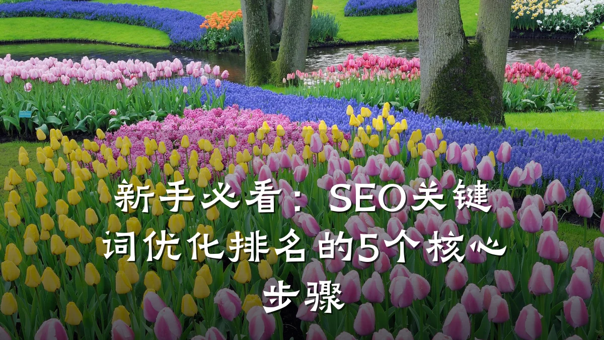新手必看:SEO关键词优化排名的5个核心步骤