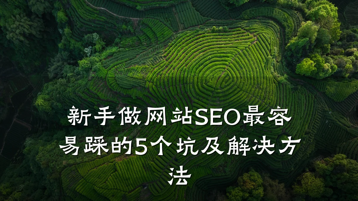 新手做网站SEO最容易踩的5个坑及解决方法
