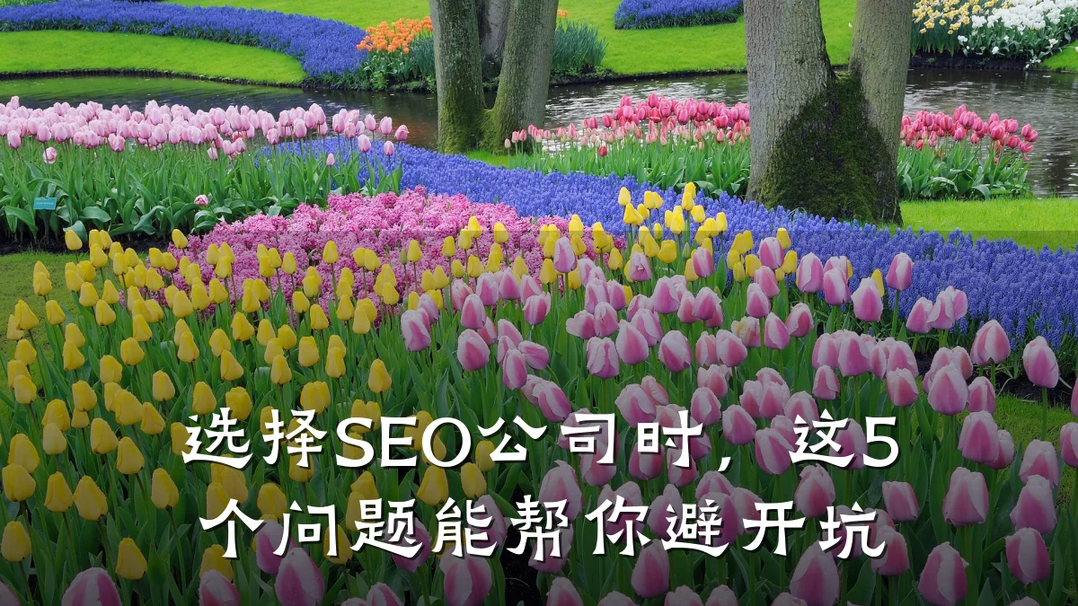 选择SEO公司时,这5个问题能帮你避开坑