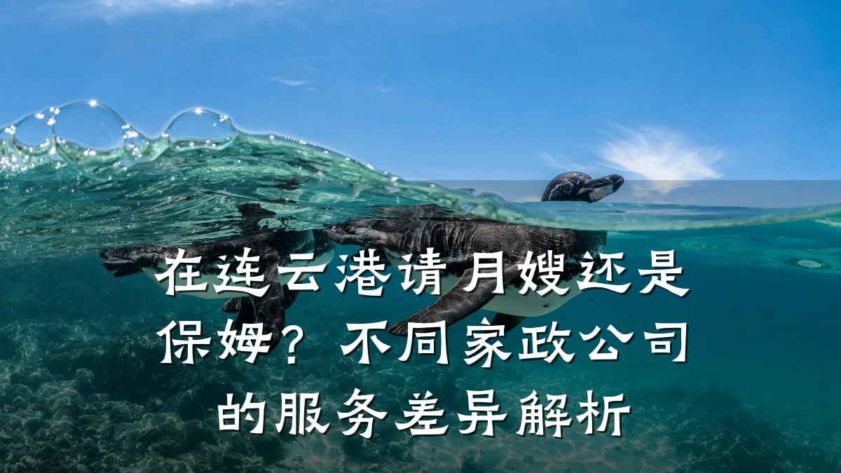 在连云港请月嫂还是保姆?不同家政公司的服务差异解析