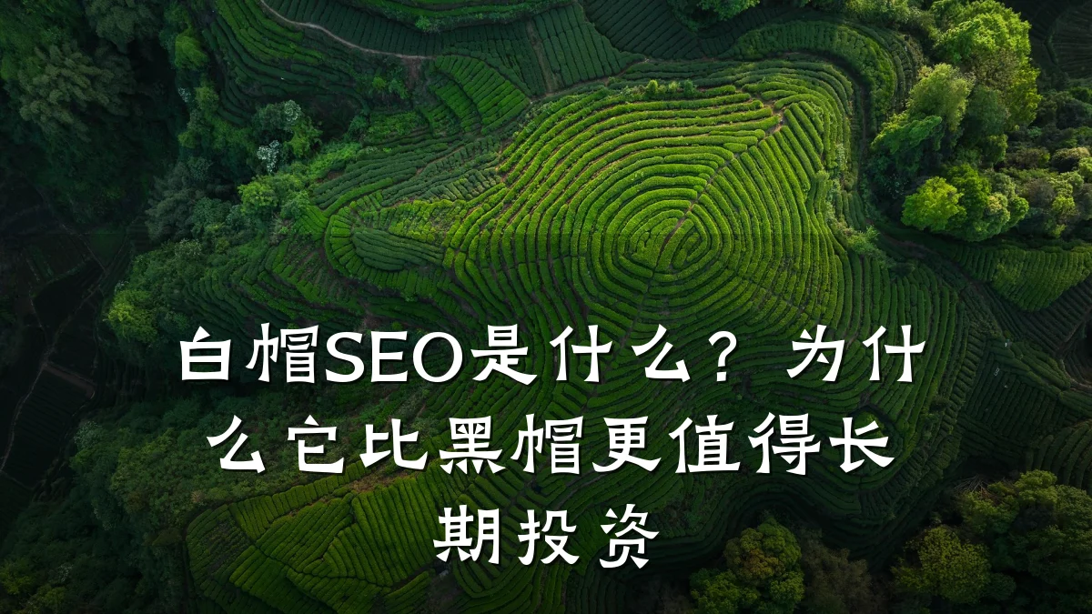 白帽SEO是什么?为什么它比黑帽更值得长期投资
