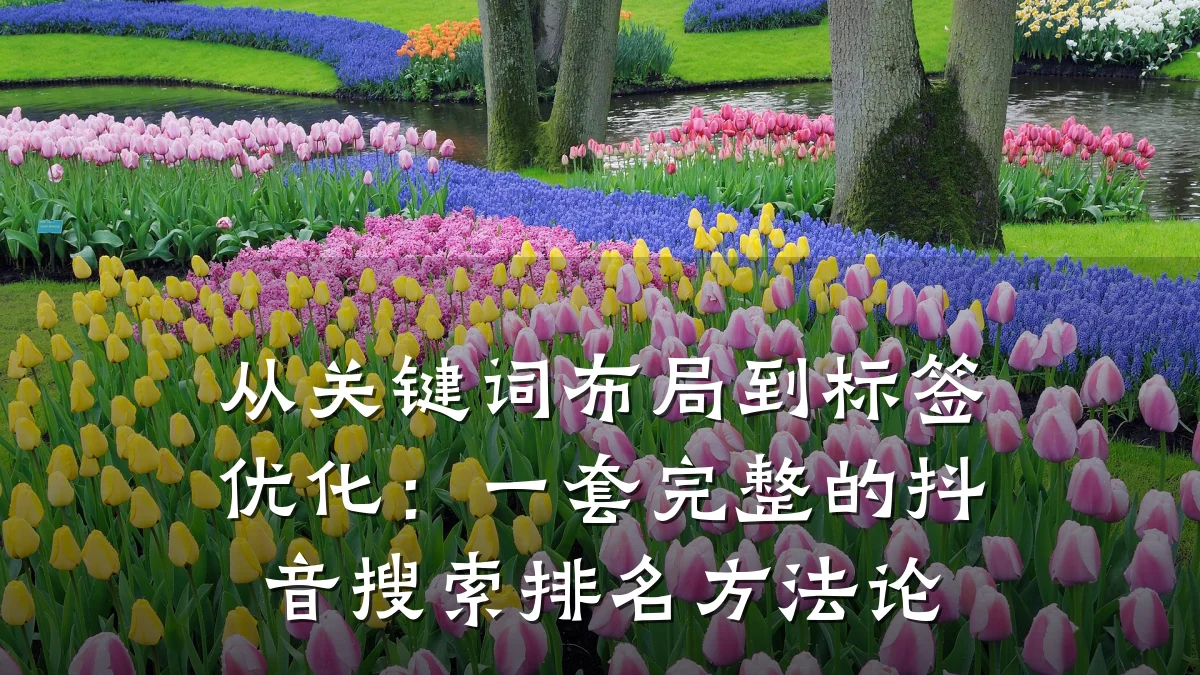 从关键词布局到标签优化:一套完整的抖音搜索排名方法论