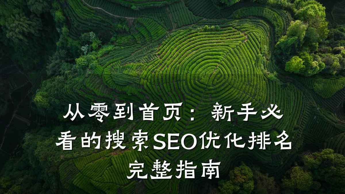 从零到首页:新手必看的搜索SEO优化排名完整指南