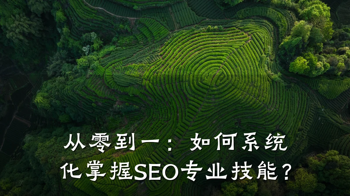 从零到一:如何系统化掌握SEO专业技能?