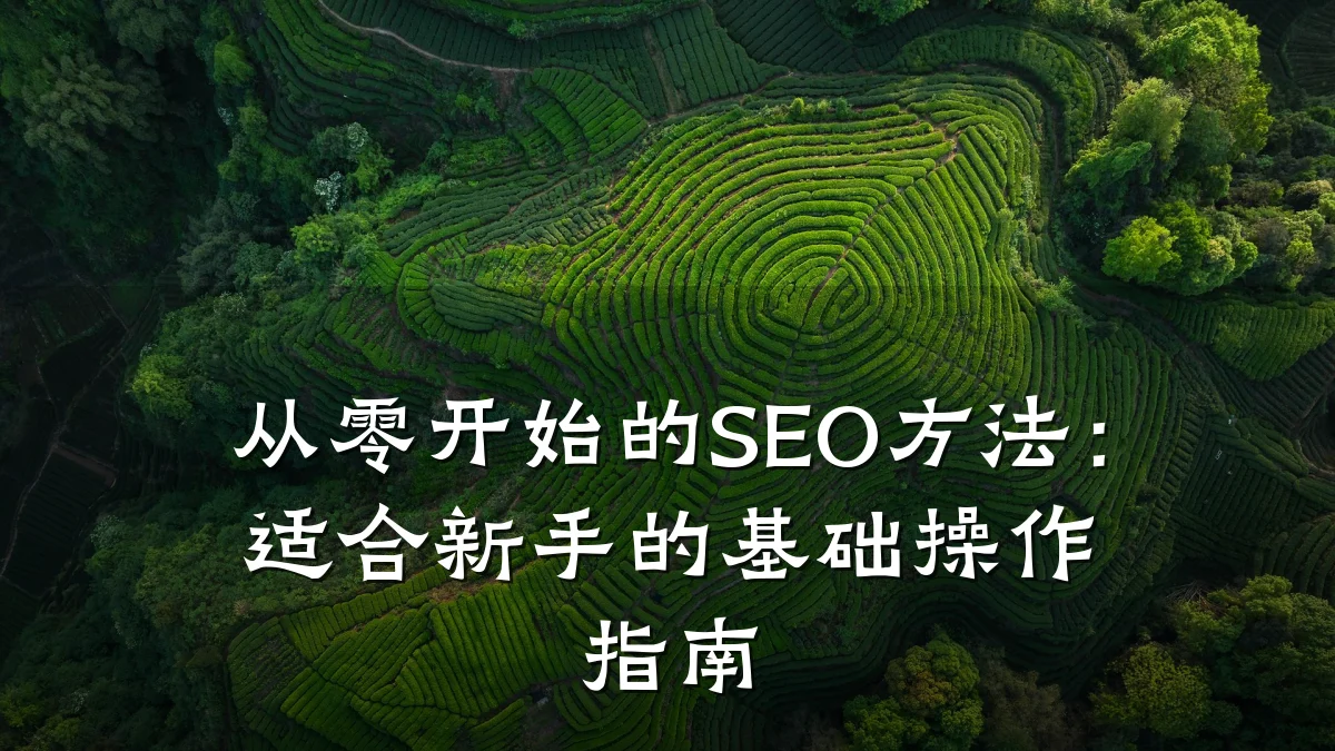 从零开始的SEO方法:适合新手的基础操作指南