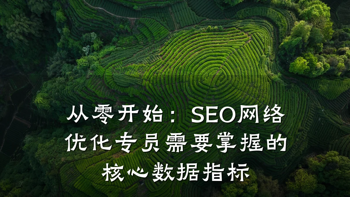 从零开始：SEO网络优化专员需要掌握的核心数据指标