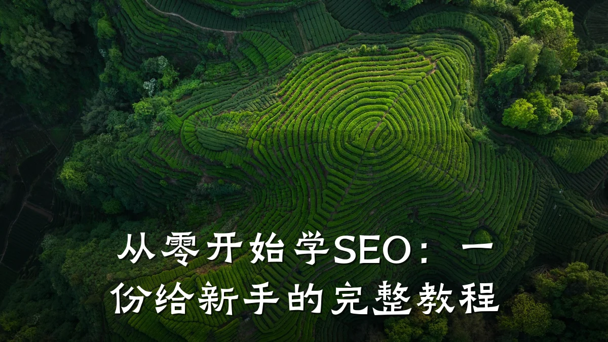 从零开始学SEO:一份给新手的完整教程