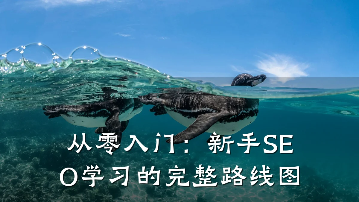 从零入门：新手SEO学习的完整路线图