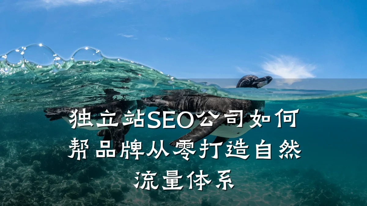 独立站SEO公司如何帮品牌从零打造自然流量体系