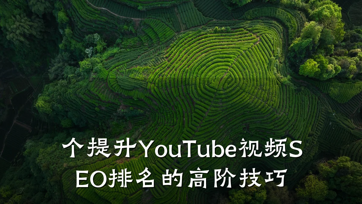 个提升YouTube视频SEO排名的高阶技巧