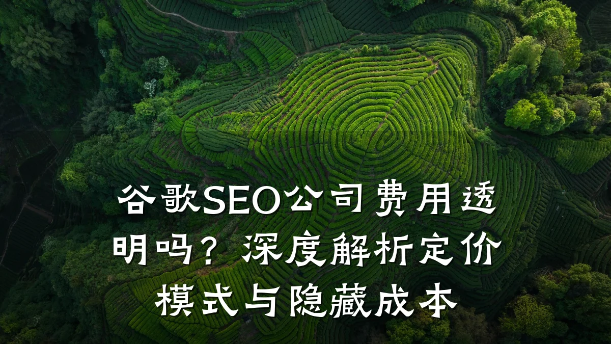 谷歌SEO公司费用透明吗?深度解析定价模式与隐藏成本
