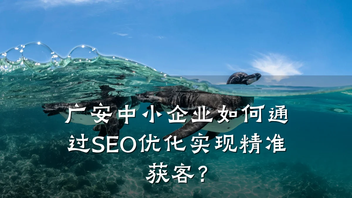 广安中小企业如何通过SEO优化实现精准获客?
