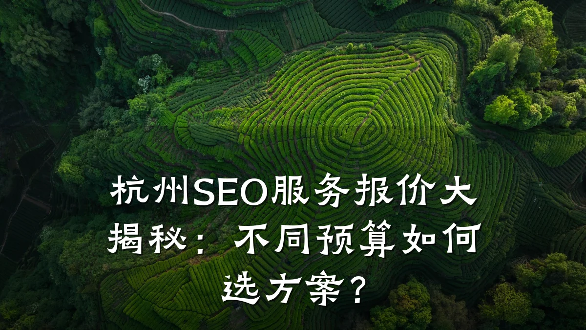 杭州SEO服务报价大揭秘：不同预算如何选方案？