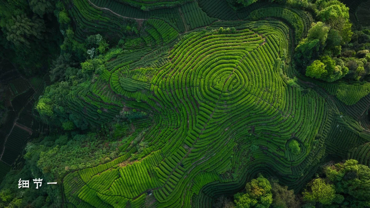 细节一