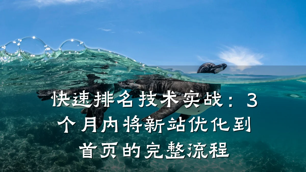 快速排名技术实战:3个月内将新站优化到首页的完整流程