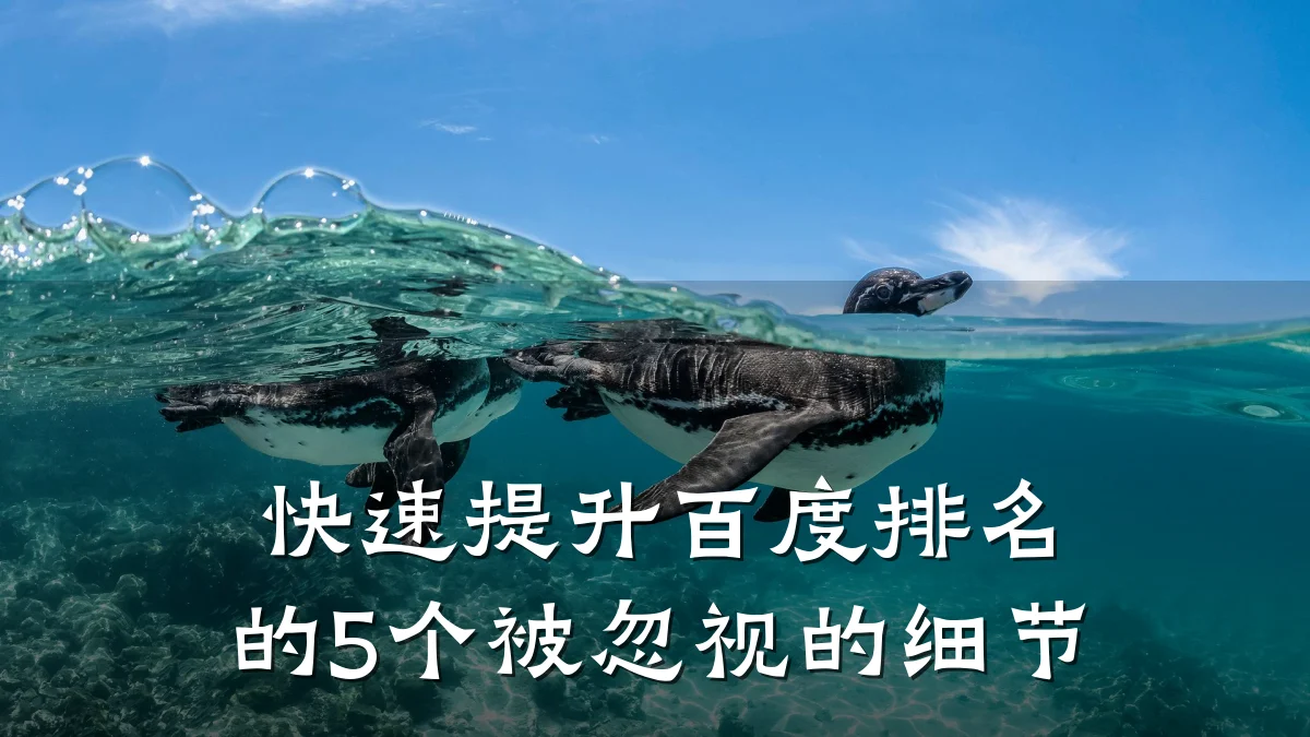 快速提升百度排名的5个被忽视的细节