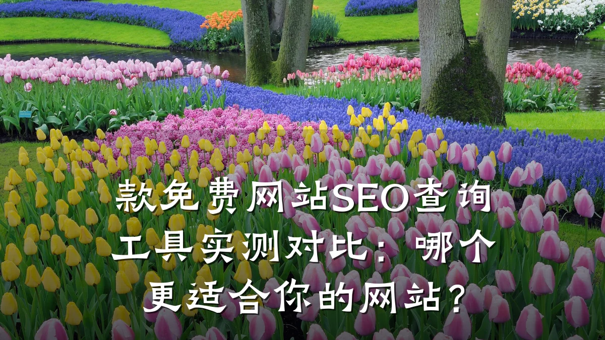 款免费网站SEO查询工具实测对比:哪个更适合你的网站?