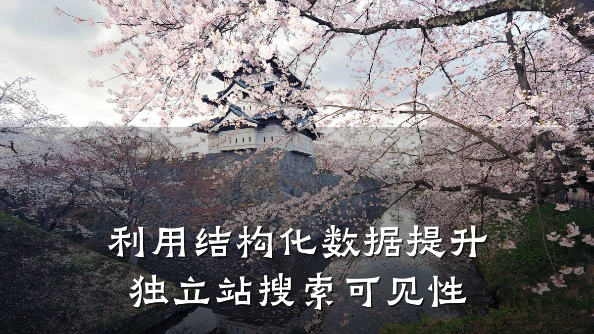 利用结构化数据提升独立站搜索可见性