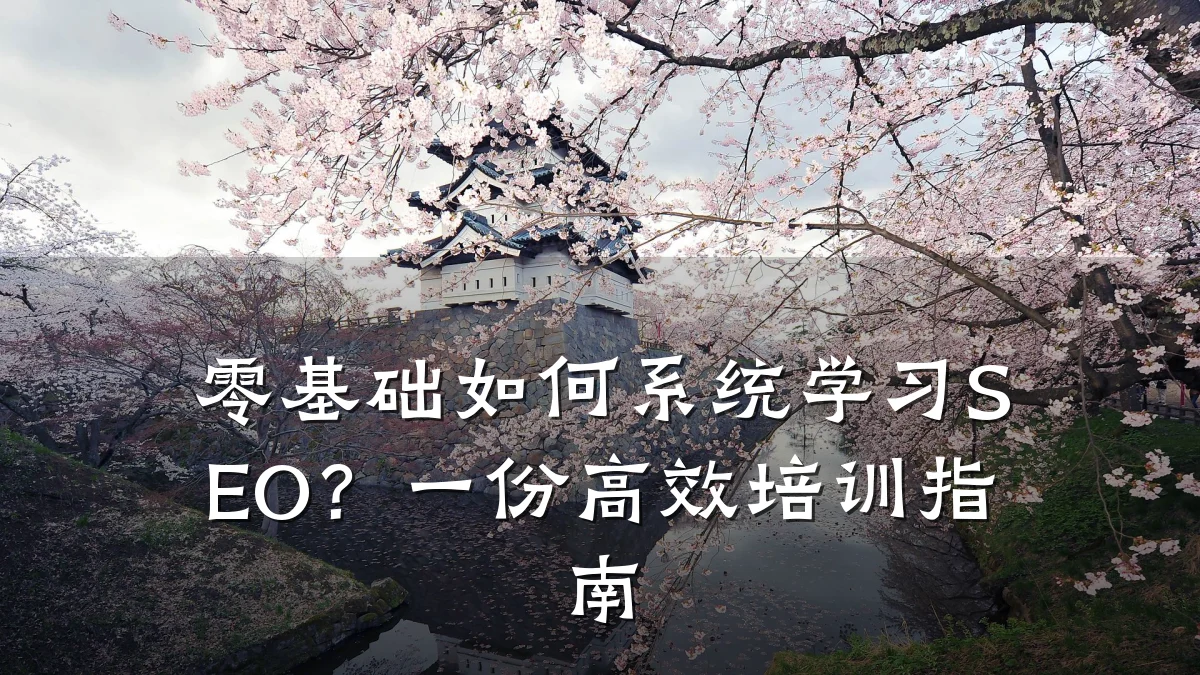 零基础如何系统学习SEO?一份高效培训指南