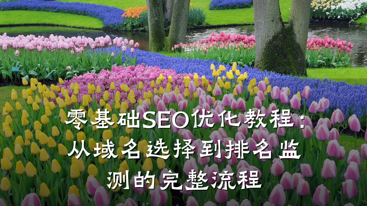 零基础SEO优化教程：从域名选择到排名监测的完整流程