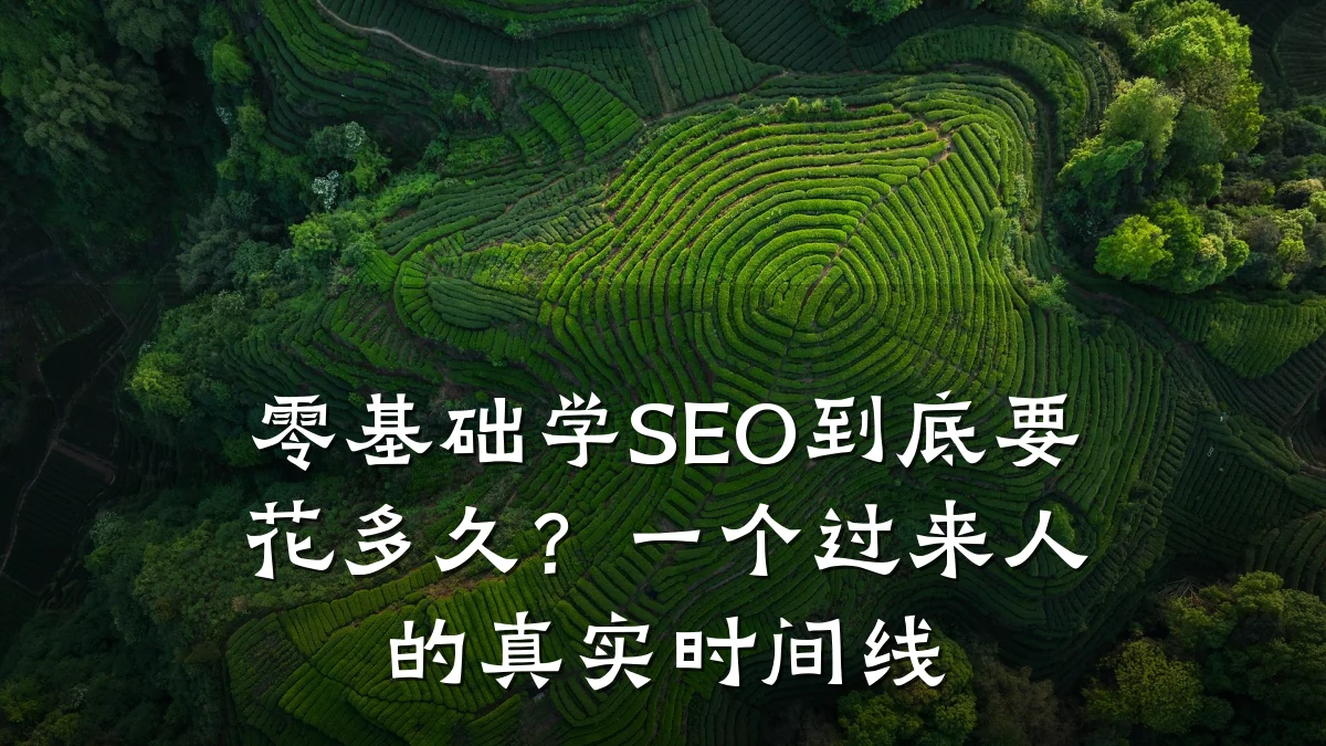 零基础学SEO到底要花多久?一个过来人的真实时间线