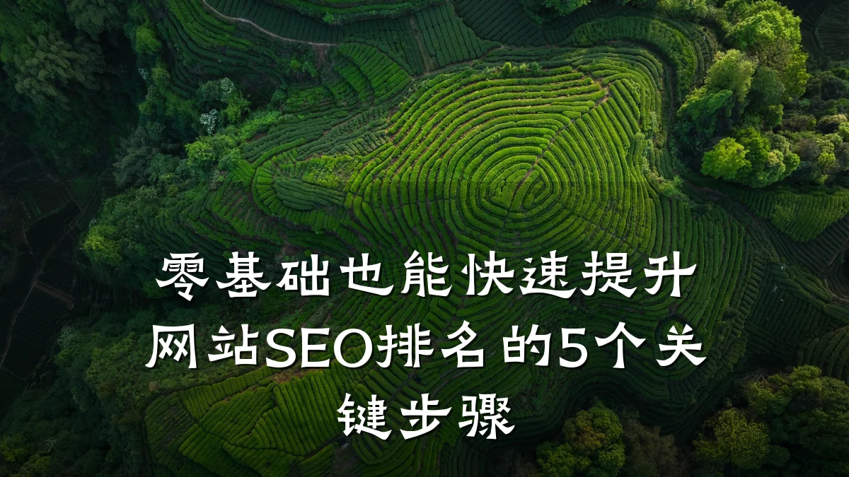 零基础也能快速提升网站SEO排名的5个关键步骤