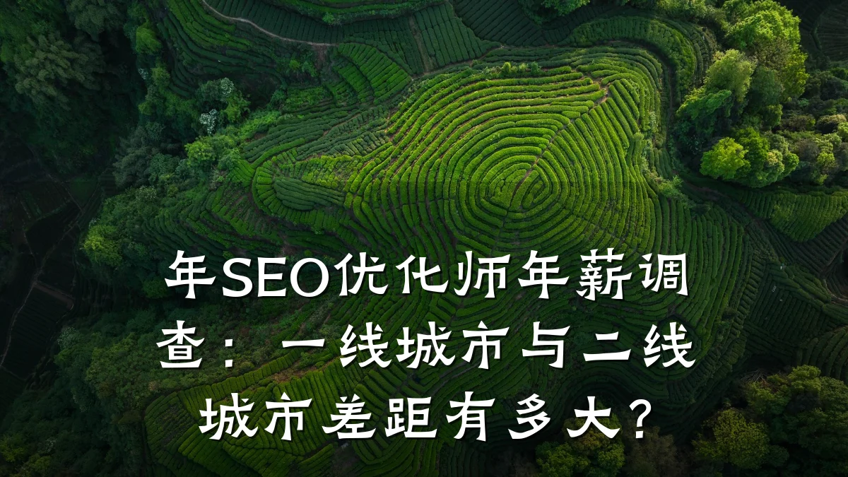 年SEO优化师年薪调查:一线城市与二线城市差距有多大?