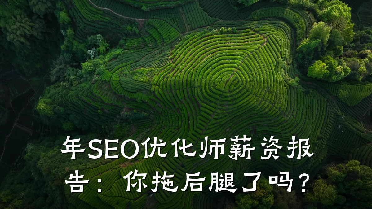 年SEO优化师薪资报告:你拖后腿了吗?