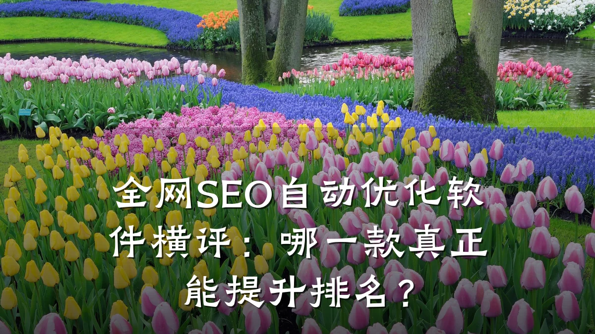 全网SEO自动优化软件横评:哪一款真正能提升排名?
