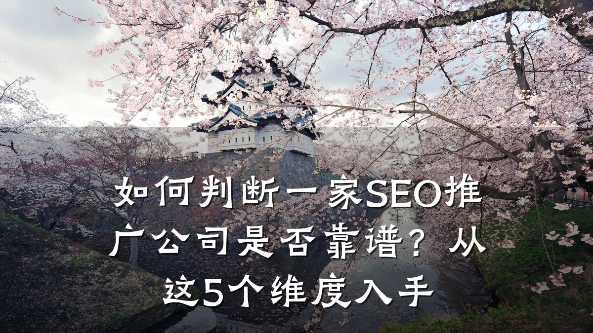 如何判断一家SEO推广公司是否靠谱?从这5个维度入手