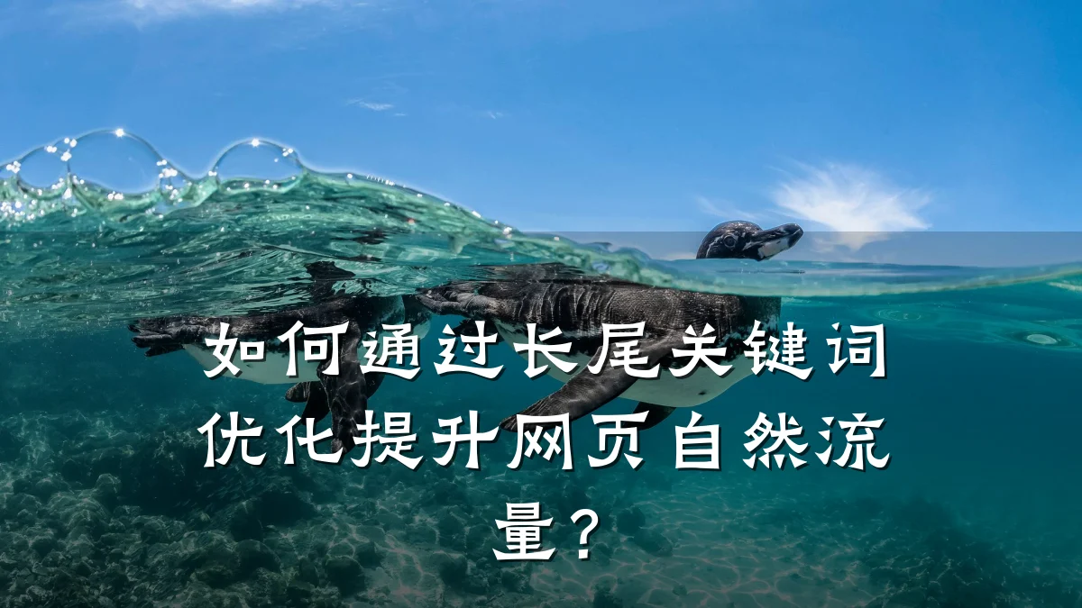 如何通过长尾关键词优化提升网页自然流量?