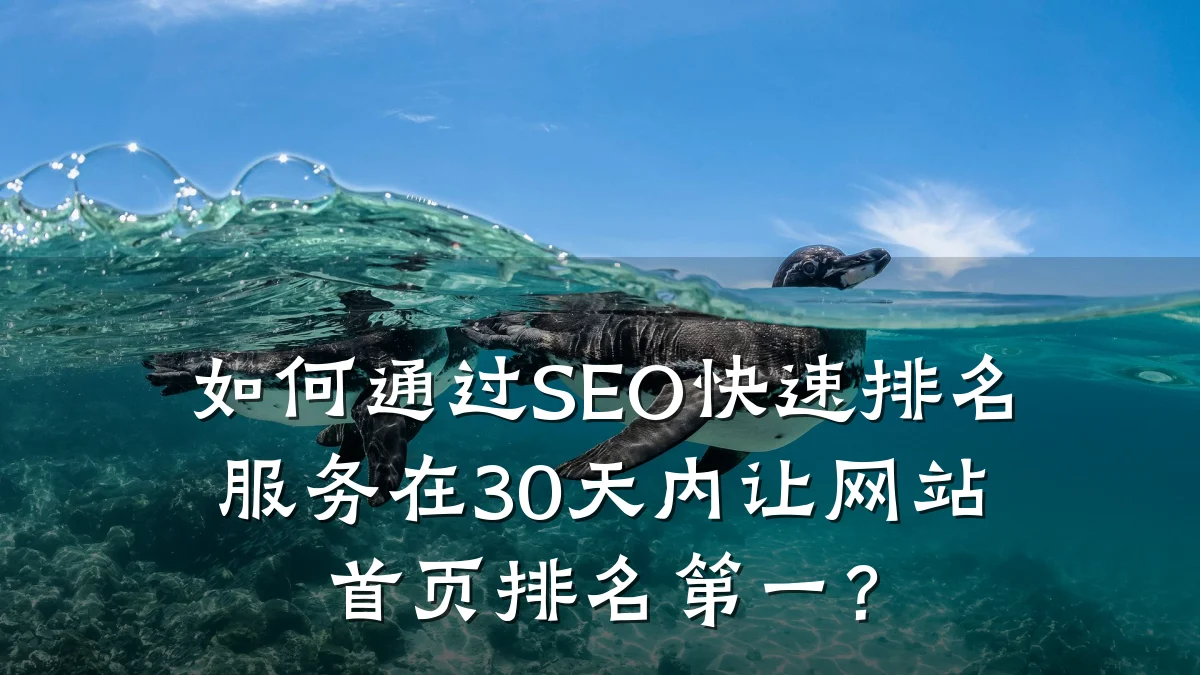 如何通过SEO快速排名服务在30天内让网站首页排名第一？